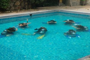 Otro grupo practicando