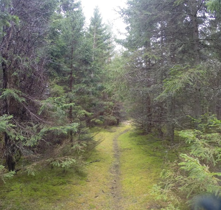 Vilsandi National Park