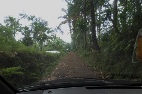 Balinese Farm Cooking School