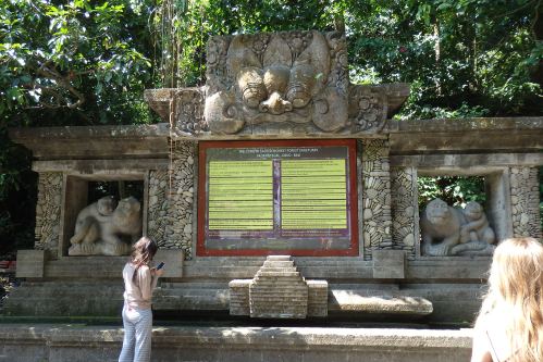 Monkey Forest Ubud