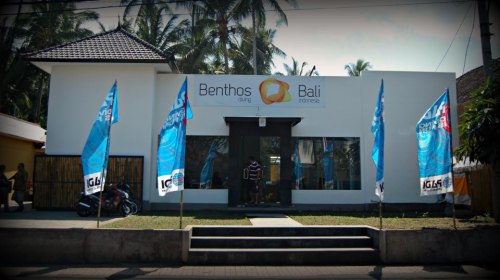 Benthos Bali